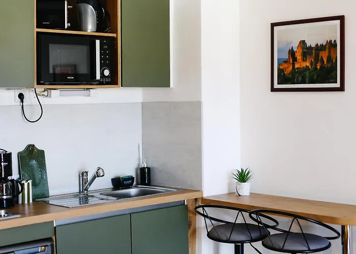 Appartement Avec Parking Vue Sur La Cité De Carcassonne