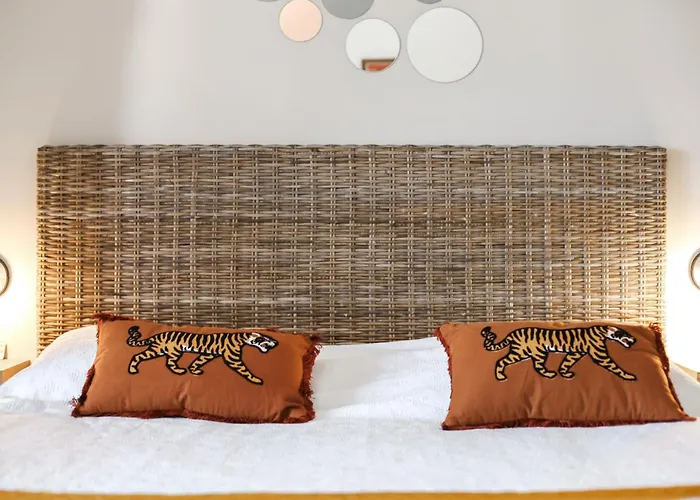 Avec Parking Vue Sur La Cité De Carcassonne